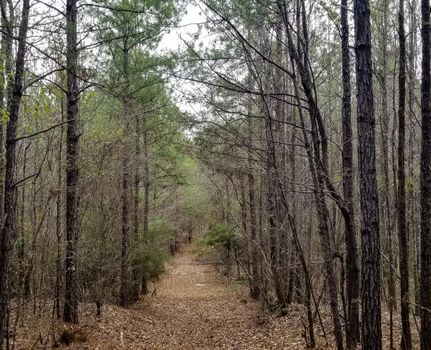 Property in Perry County, Alabama