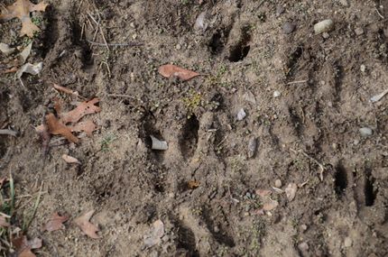 Property in Jackson County, Michigan