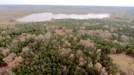 Property in Bullock County, Alabama