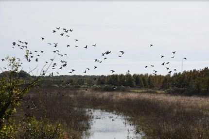 Property in Monroe County, Arkansas