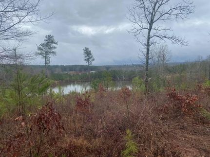 Property in Chilton County, Alabama
