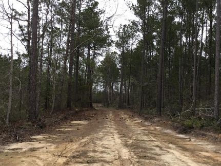 Property in Brunswick County, North Carolina