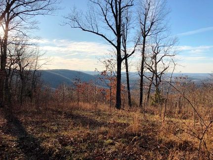 Undeveloped Land for sale in Marion County, Arkansas