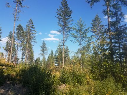 Property in Stevens County, Washington