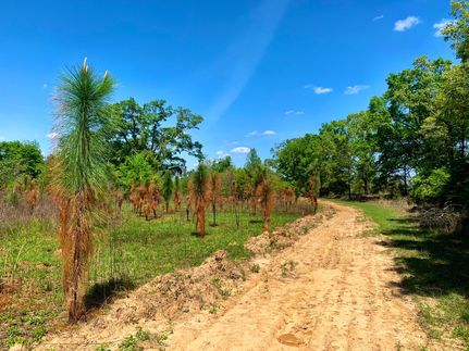 Property in Barbour County, Alabama