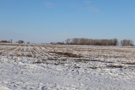 Property in Traill County, North Dakota