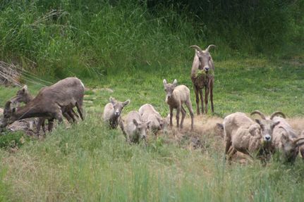 Property in Lincoln County, Washington