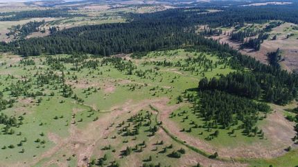 Property in Umatilla County, Oregon
