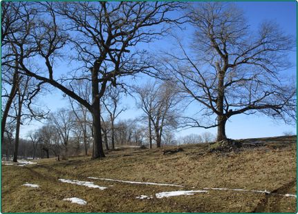 Property in Linn County, Iowa