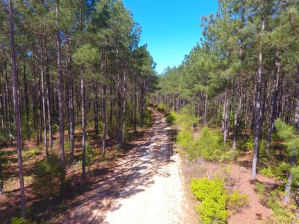 Property in Chambers County, Alabama