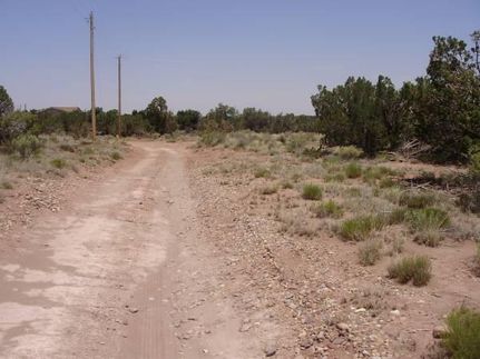 Property for sale in Navajo County, Arizona