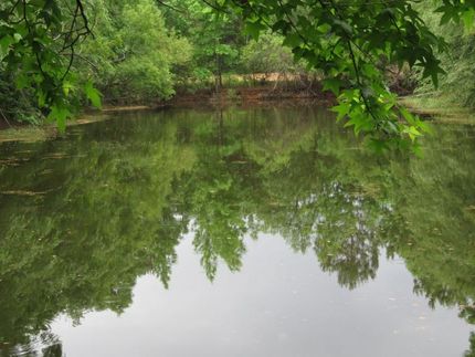 Property in Colleton County, South Carolina