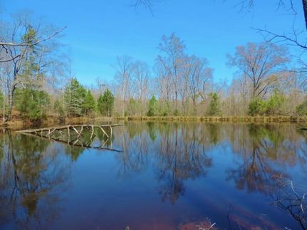 Property in Wilkes County, Georgia
