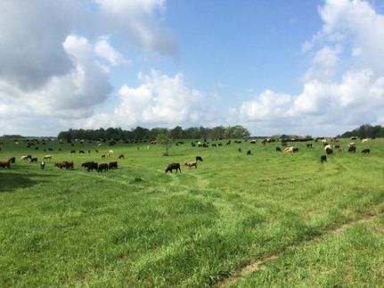 Property in Pearl River County, Mississippi