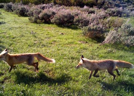 Property in Lincoln County, Wyoming