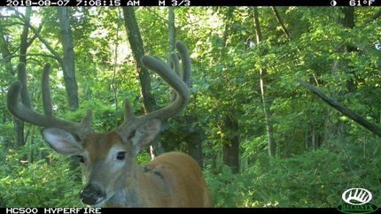 Property in Dubuque County, Iowa