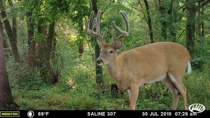 Property in Saline County, Missouri