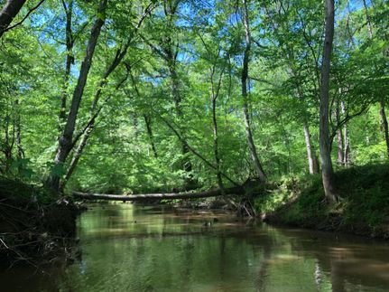 Property in Tallapoosa County, Alabama