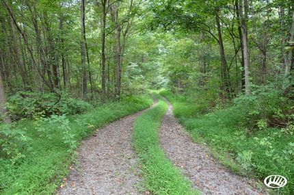 Property in Armstrong County, Pennsylvania