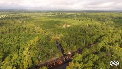 Property in Washington County, Alabama