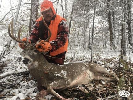 Property in Polk County, Missouri