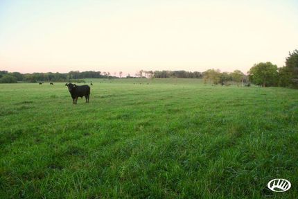 Property in Cedar County, Missouri