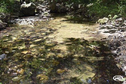 Property in Polk County, Missouri