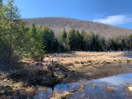 Property in Saratoga County, New York