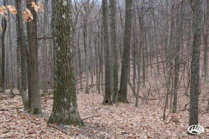 Property in Centre County, Pennsylvania