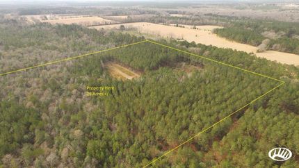 Property in Washington County, Alabama