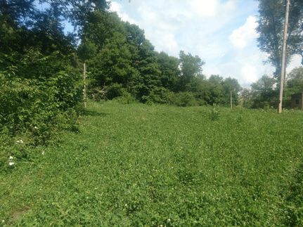 Property in Harrison County, Ohio