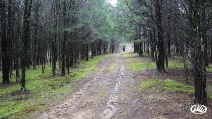 Property in Switzerland County, Indiana