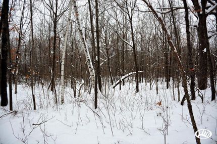 Property in Rusk County, Wisconsin