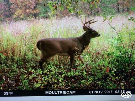 Property in Saline County, Illinois