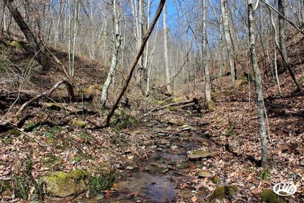 Property in Jackson County, Kentucky