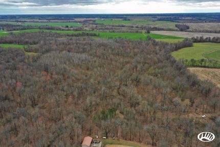 Property in Hickman County, Kentucky