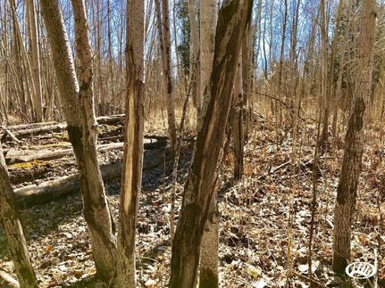 Property in Lapeer County, Michigan