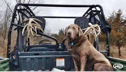 Property in Fayette County, Iowa