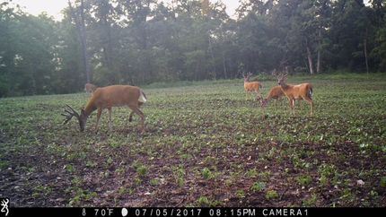 Property in Cherokee County, Kansas