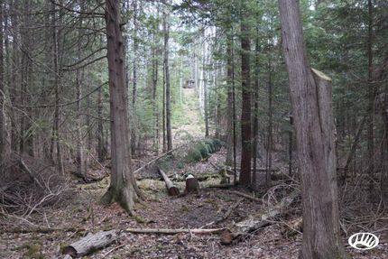 Property in Iosco County, Michigan