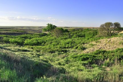 Property in Trego County, Kansas