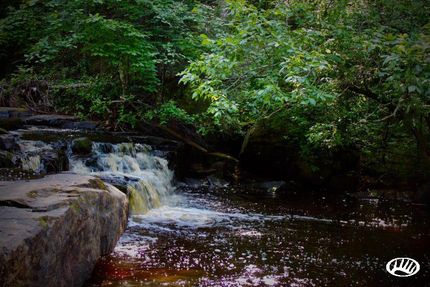 Property in Carlton County, Minnesota