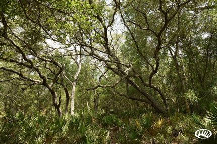 Property in Marion County, Florida