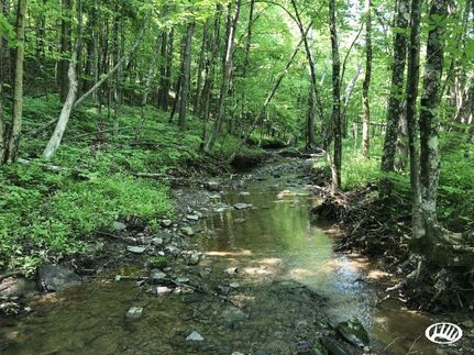 Property in Noble County, Ohio