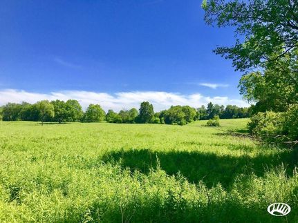 Property in Hillsdale County, Michigan