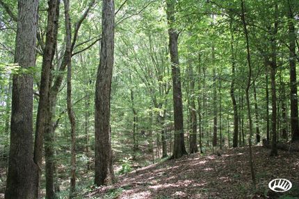 Property in Franklin County, Mississippi