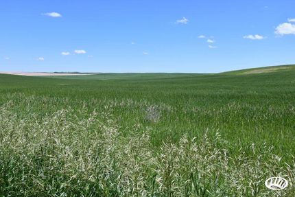 Property in Bennett County, South Dakota