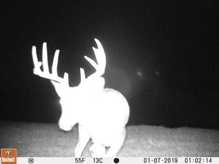 Property in Greene County, Illinois