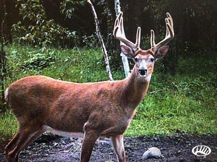 Property in Becker County, Minnesota