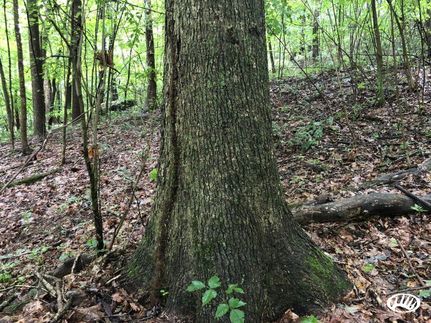 Property in Tuscarawas County, Ohio